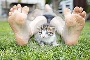 cute little kitten sits between the child\'s bare feet on the lawn on a warm summer day