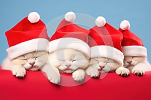 AI generated. Cute little kittens in Christmas Santa Claus hat sleeping on red bed on blue background