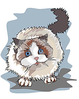 Cute little kitty  illustration, animal love  pet  cat , pattern ,  looking kitten
