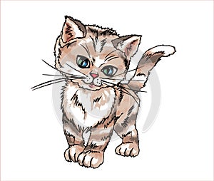 Cute little kitty illustration, kitty print pattern, postcard, cat animal care  pets  animal  cute animals