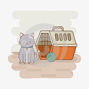 Cute little kitty mascot character