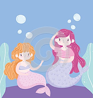 Cute little mermaids decoration cartoon under the sea