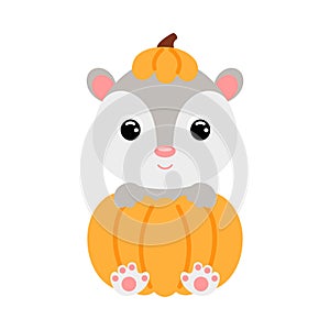 Cute little opossum sitting in a pumpkin. Cartoon animal character for kids t-shirts, nursery decoration, baby shower