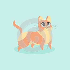 Cute little orange cat vector illustration. Curious kitten.