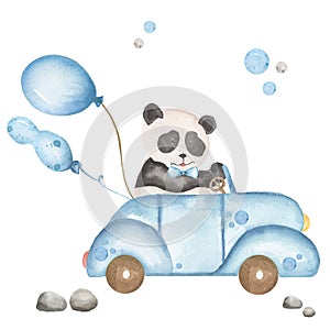 Cute little panda driving a car clipart, blue transport with animal and balloons, watercolor illustration for nursery and baby