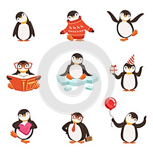 Cute little penguin cartoon characters set for label design. Colorful detailed vector Illustrations