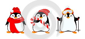 Cute little penguin, set of three poses