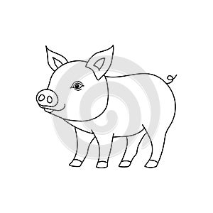 Cute little pig outline piglet vector for coloring