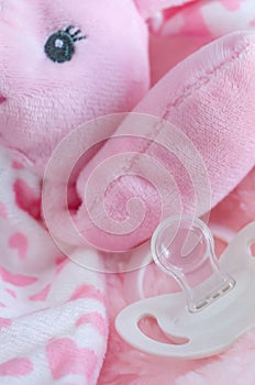 Cute Little Pink Bunny Toy and White Baby Soother