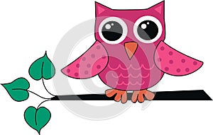 A cute little pink owl