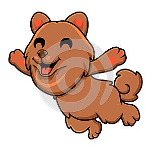 Cute little pomeranian dog cartoon jumping