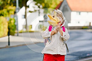 Cute little preschool girl on her first day going to playschool. Healthy happy child walking to nursery school. Kid with