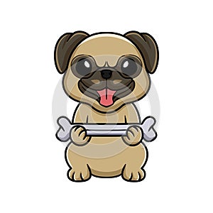 Cute little pug dog cartoon holding a bone