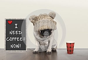 Cute little pug puppy dog with bad morning mood, sitting next to blackboard sign with text I need coffee now, copy space photo