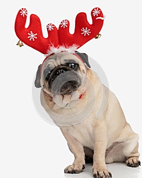 cute little pug puppy with reindeer headband looking forward and sitting