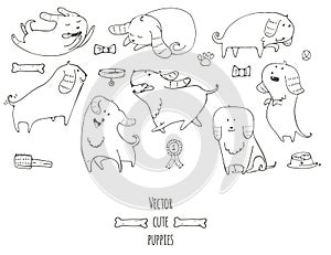 Cute little puppies set in various poses, jumping, sleeping, running, sitting,