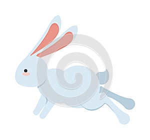 Cute little rabbit jumping easter animal icon