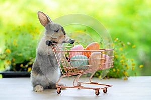 Cute little rabbit with shopping cart and sweet colorful eggs on green grass with natural bokeh as background, Young adorable