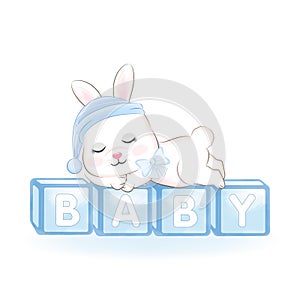 Cute Little Rabbit sleeping on baby toy box
