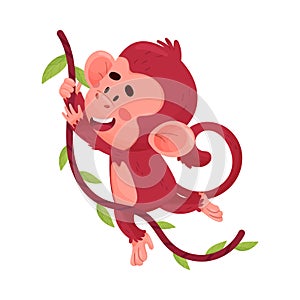 Cute Little Red Monkey Hanging On Liana Vector Illustration Cartoon Character