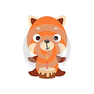 Cute little red panda with birthday cake on white background. Cartoon animal character for kids cards, baby shower