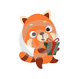 Cute little red panda carries gift box on white background. Cartoon animal character for kids t-shirts, nursery