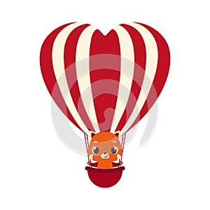 Cute little red panda fly on heart hot air balloon. Cartoon animal character for kids cards, baby shower, invitation