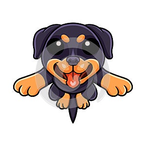 Cute little rottweiler dog cartoon jumping