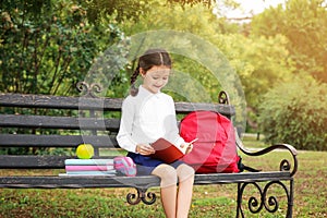 Cute little school child with stationery on bench in park