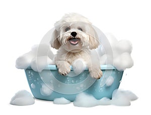 Cute little Shih-Tzu dog in a bath with foam, isolated on white background, cute pet concept, realistic 3D illustration,