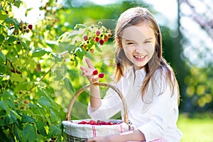 Cute little sisters picking fresh berries on organic raspberry farm on sunny summer day