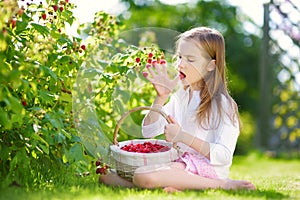 Cute little sisters picking fresh berries on organic raspberry farm on sunny summer day