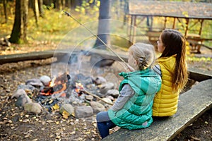 Cute little sisters roasting hotdogs on sticks at bonfire. Children having fun at camp fire. Camping with kids in fall forest.