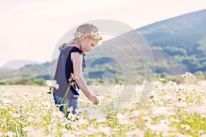 Cute little smiling girl in the chamomile field