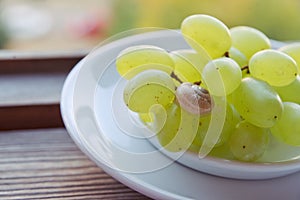 Cute little snail with fragile shell in closeup, crawls on green grape bunch in saucer, on the background of wooden window frame