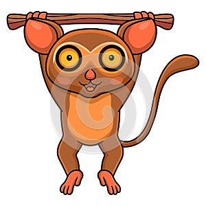 Cute little tarsier cartoon hanging on tree