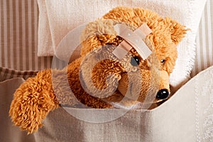 Cute little teddy bear with head trauma