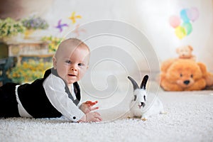 Cute little toddler boy, dressed smart casual, playing with little black and white rabbit