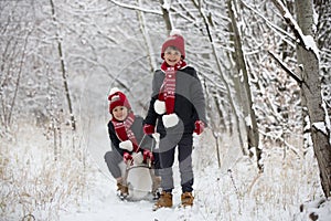 Cute little toddler boy and his older brothers, playing outdoors with snow on a winter day