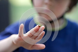 Cute little toddler boy, playing with ladybird