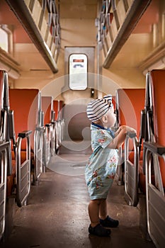 Cute little toddler boy sitting inside the train. Child traveling by railway. young traveler. Vacations. Indoors