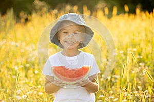 Cute little toddler child, blond boy, eating watermelon in beautiful daisy field