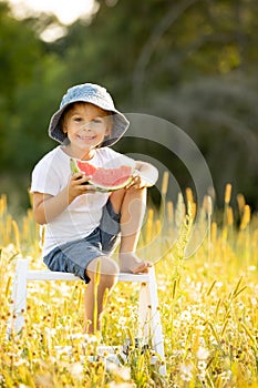 Cute little toddler child, blond boy, eating watermelon in beautiful daisy field