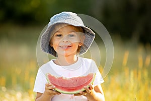 Cute little toddler child, blond boy, eating watermelon in beautiful daisy field