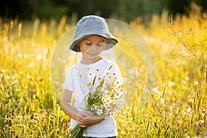 Cute little toddler child, blond boy, eating watermelon in beautiful daisy field