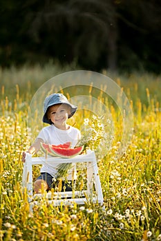 Cute little toddler child, blond boy, eating watermelon in beautiful daisy field