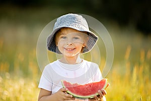 Cute little toddler child, blond boy, eating watermelon in beautiful daisy field