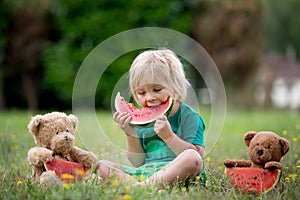 Cute little toddler child, blond boy, eating watermelon in the park