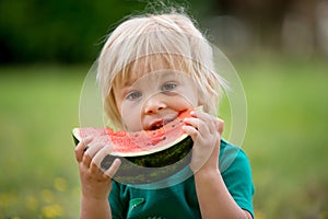 Cute little toddler child, blond boy, eating watermelon in the park