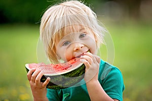 Cute little toddler child, blond boy, eating watermelon in the park